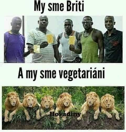 Oko vidi....