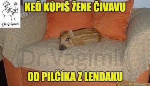 Prasátko