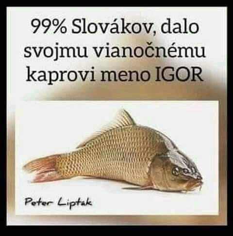Kaprik