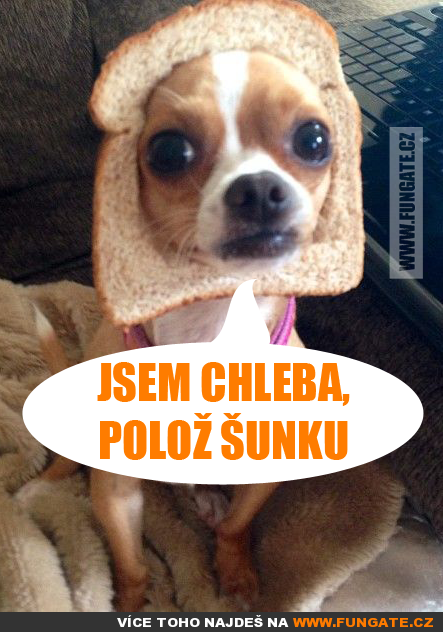 jsem chleba